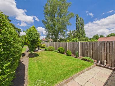 Picture 21
